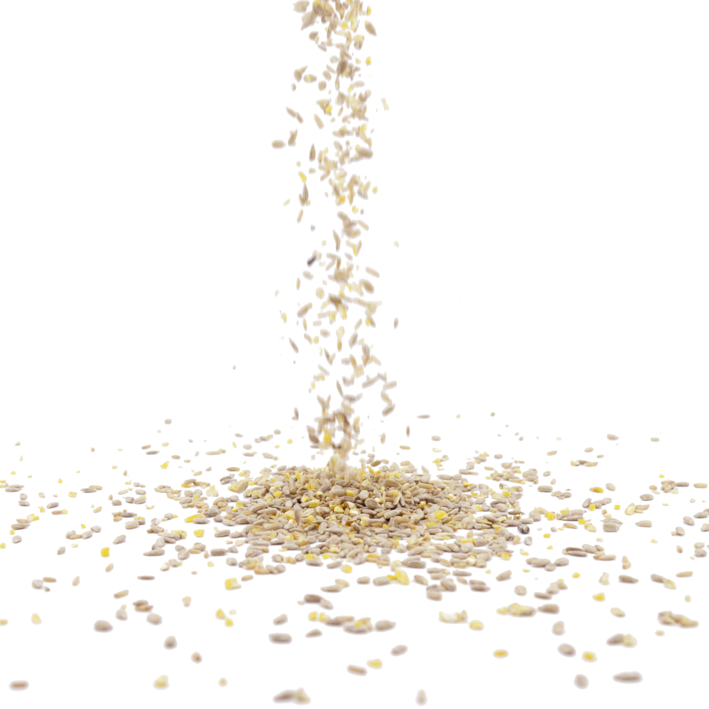 Green+ Futtermischung 2,5 kg (biologischer Anbau) | Vogelfutter | CJ Wildlife